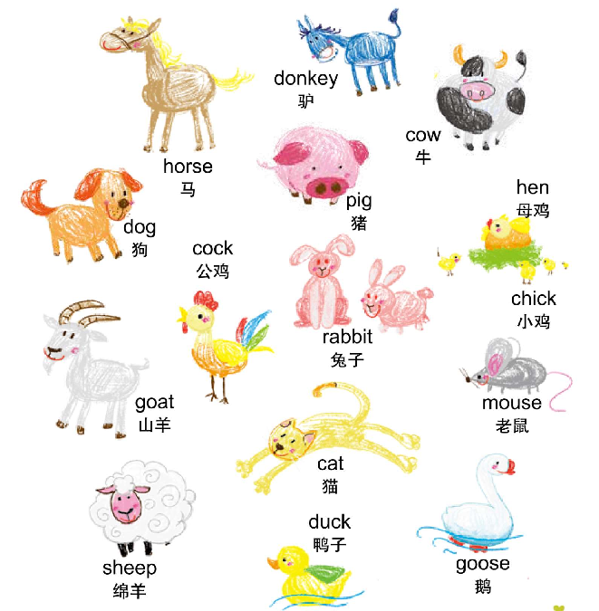 幼儿英语启蒙之认识日常英语：农场动物 Farm Animals